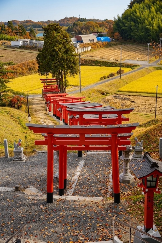 高屋敷稲荷神社千本鳥居