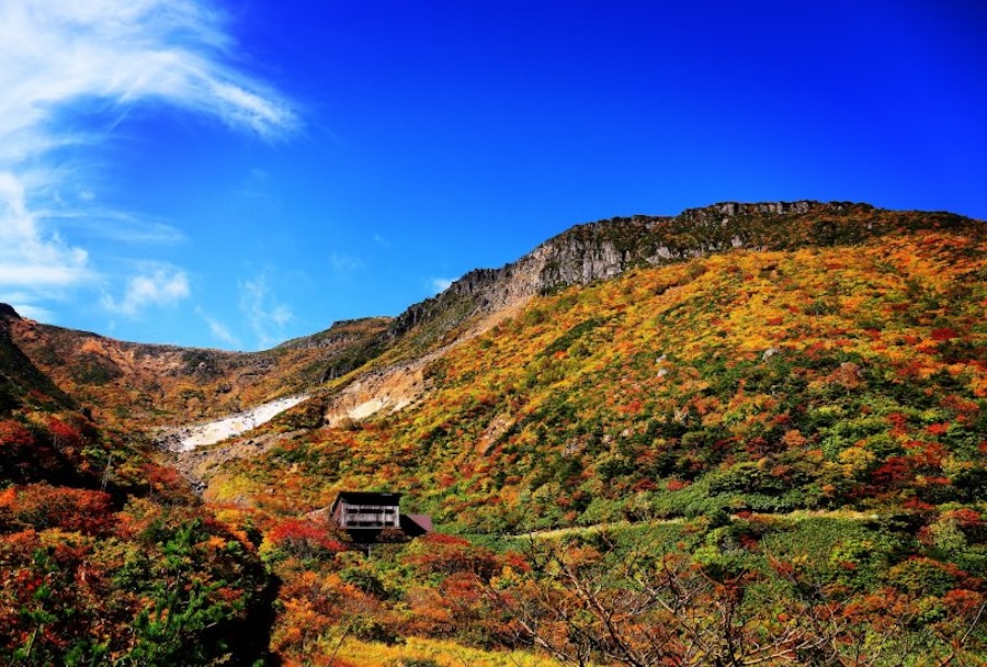 安達太良山空中纜車賞楓