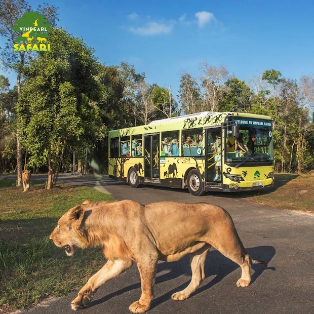 Safari 野生動物園遊獵車