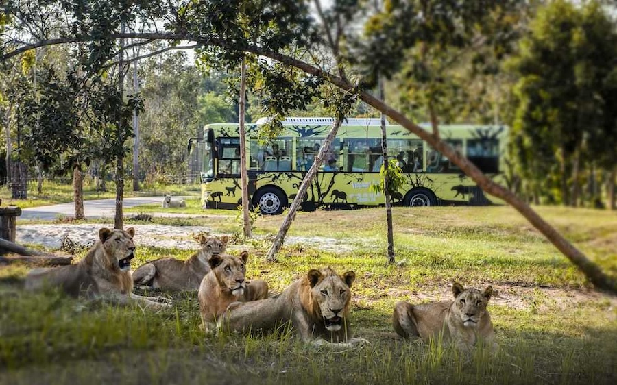 Safari野生動物園遊獵車