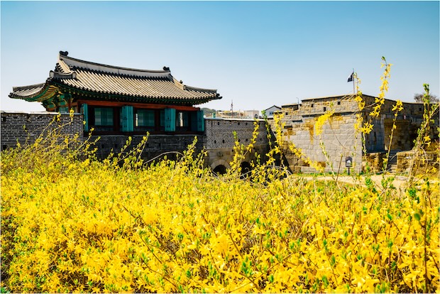 水原華城