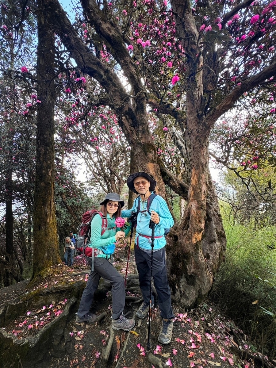 布恩山健行美景3