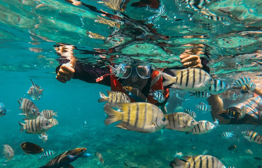 沙巴跳島水上活動
