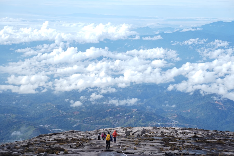 神山生態與山徑